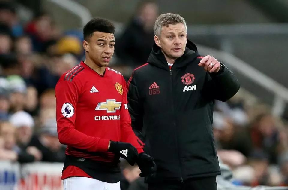 写着20个 写着20个